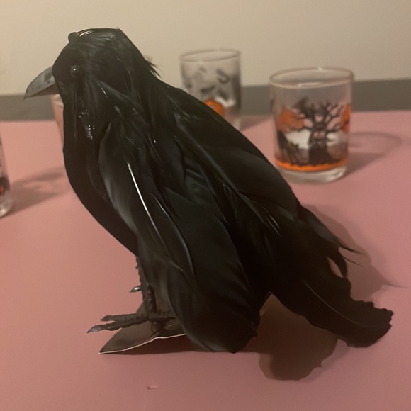 Halloween Mix of decor and costume! All new - no item worn/used before. - Picture 8 of 15